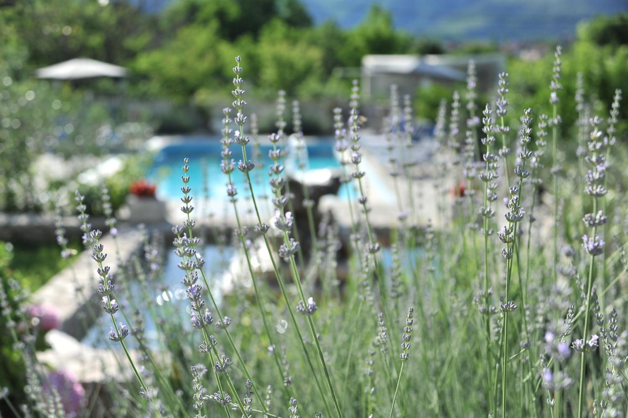 Pool House Maslina Lägenhet Mostar Exteriör bild